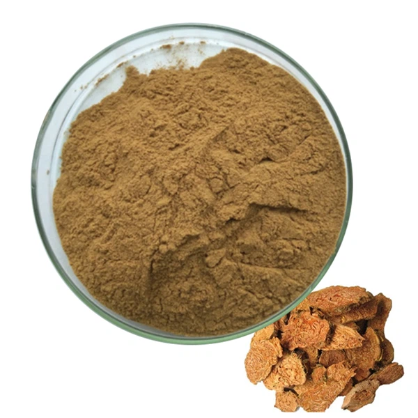 Rhodiola rosea extrait de poudre